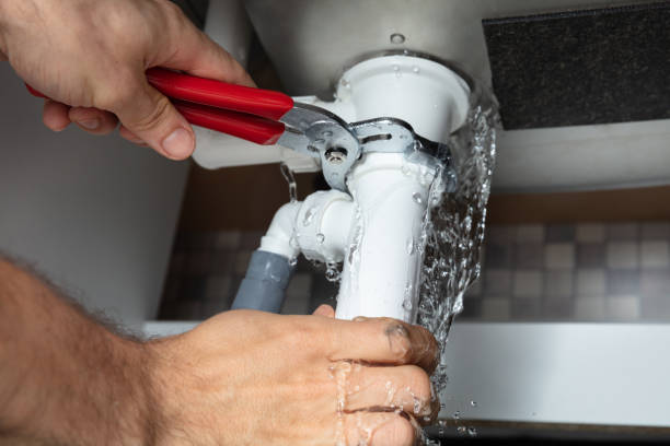 Best Professional water damage repair  in Highland, IN