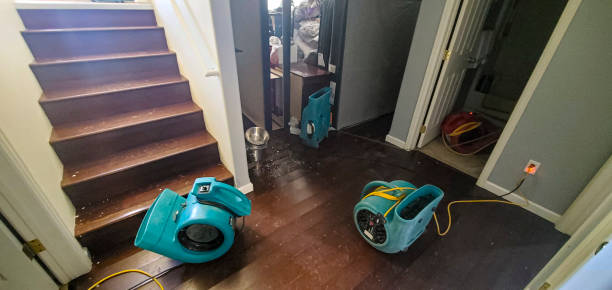 Best Ceiling water damage repair  in Highland, IN