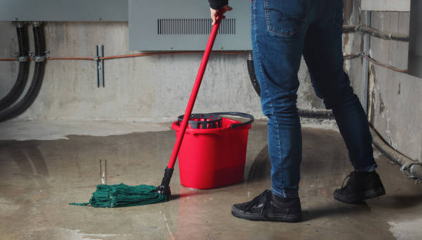  Highland, IN Water damage restoration Pros