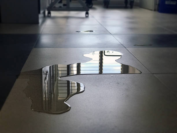 Best Water damage restoration near me  in Highland, IN