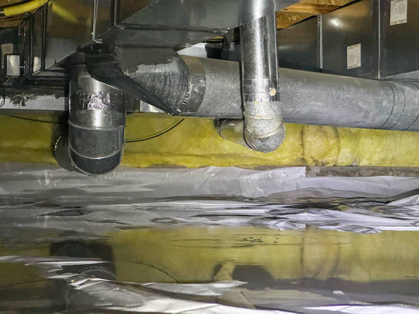 Best Water damage restoration near me  in Highland, IN