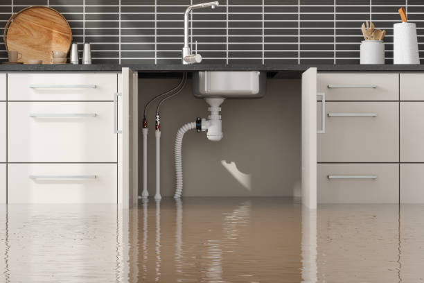 Best Water damage restoration near me  in Highland, IN