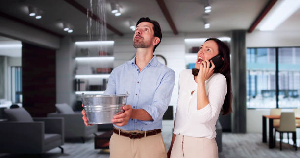 Best Water damage restoration insurance claims  in Highland, IN