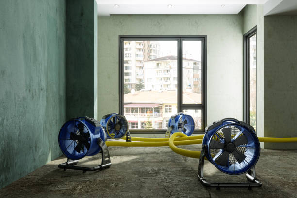 Best Water damage contractors near me  in Highland, IN